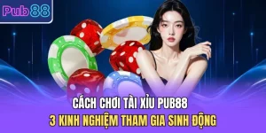 Cách Chơi Tài Xỉu PUB88 - 3 Kinh Nghiệm Tham Gia Sinh Động