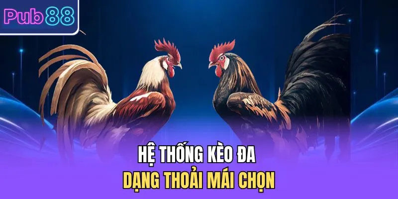 Hệ thống kèo đa dạng thoải mái chọn