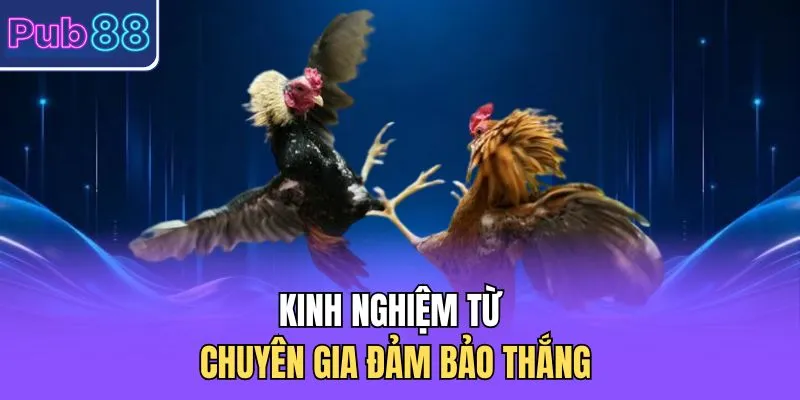 Kinh nghiệm từ chuyên gia đảm bảo thắng