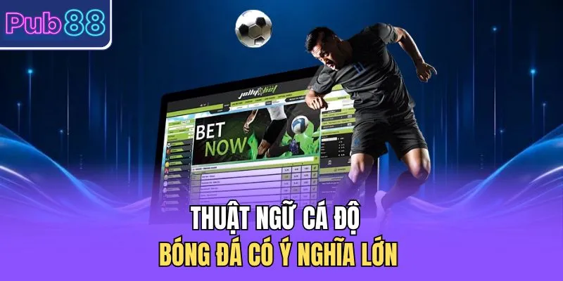 Thuật ngữ cá độ bóng đá có ý nghĩa lớn